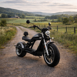 E-Chopper HL 6.0, Elektroroller, 45km/h, 3000 Watt