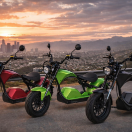 E-Chopper Blake, 45 km/h, Rot | Grün | Matt Schwarz